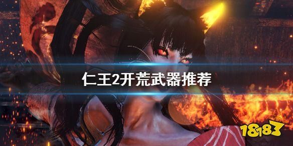 仁王建议开局选什么武器？（仁王一开始选什么武器）
