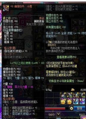 DNF 60柔道家用什么武器好？（柔道家武器）