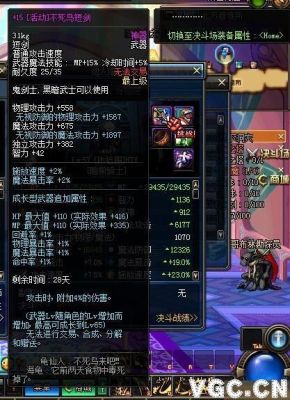 dnf物品租赁的武器最高几级？（dnf武器租赁）